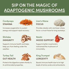 Mushroom Matcha - 30 Servings