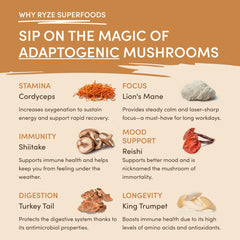 Mushroom Overnight Oats - 28 Meals